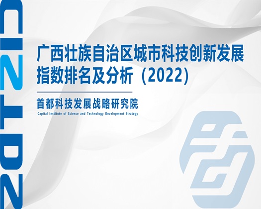 扶她射区jkcce9com【成果发布】广西壮族自治区城市科技创新发展指数排名及分析（2022）